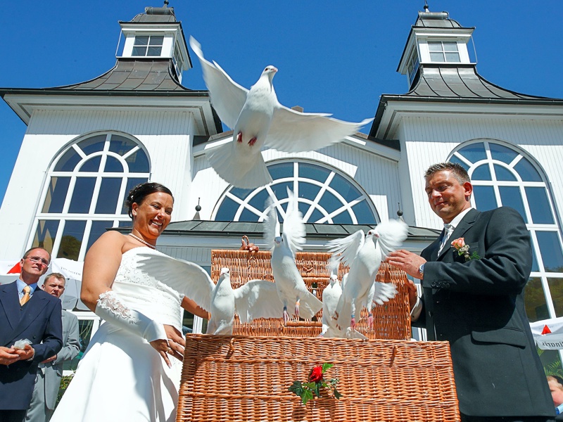 Hochzeitsbrauch Tauben fliegen lassen